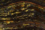 Polished Tiger Iron Stromatolite - Billion Years #129295-1